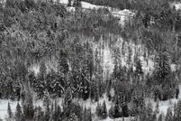 Property for sale in Caledonia County, Vermont