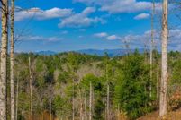 Undeveloped Land for sale in Gilmer County, Georgia