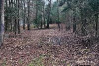 Undeveloped Land for sale in Cherokee County, Texas