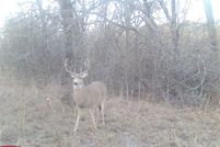 Property for sale in Okfuskee County, Oklahoma