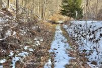 Property for sale in Nicholas County, West Virginia