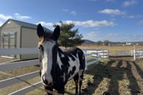 Property for sale in Richland County, Wisconsin