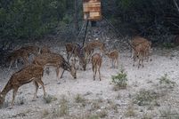 Property for sale in Uvalde County, Texas