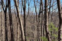 Property for sale in Fannin County, Georgia