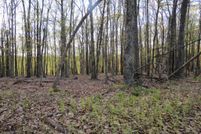 Undeveloped Land for sale in Grant County, West Virginia