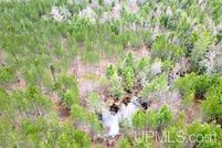 Undeveloped Land for sale in Delta County, Michigan