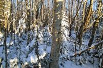 Property for sale in Matanuska-Susitna Borough, Alaska