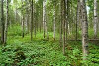 Waterfront Property for sale in Matanuska-Susitna Borough, Alaska