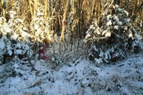 Property for sale in Matanuska-Susitna Borough, Alaska