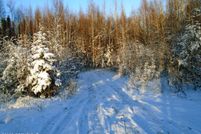 Undeveloped Land for sale in Matanuska-Susitna Borough, Alaska