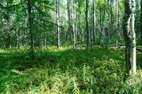 Waterfront Property for sale in Matanuska-Susitna Borough, Alaska