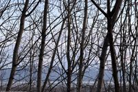 Property for sale in Matanuska-Susitna Borough, Alaska