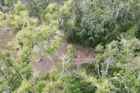 Property for sale in Taylor County, Florida