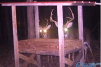 Property for sale in Madison County, Alabama