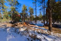 Property for sale in Navajo County, Arizona