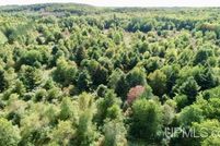 Property for sale in Luce County, Michigan