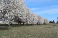 Property for sale in Christian County, Missouri