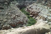 Undeveloped Land for sale in Navajo County, Arizona