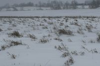 Property for sale in Otter Tail County, Minnesota