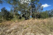 Property for sale in Levy County, Florida