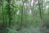 Property for sale in Kane County, Illinois