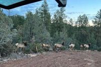 Property for sale in Gila County, Arizona