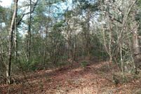 Property for sale in Hernando County, Florida