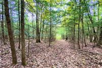 Property for sale in Steuben County, New York