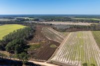 Undeveloped Land for sale in Berrien County, Georgia