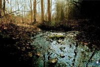 Property for sale in Buckingham County, Virginia