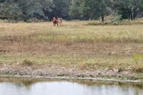 Property for sale in Colorado County, Texas