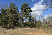 Undeveloped Land for sale in Smith County, Texas