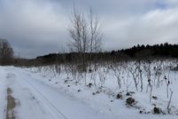 Property for sale in Missaukee County, Michigan