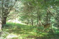 Waterfront Property for sale in Schoharie County, New York