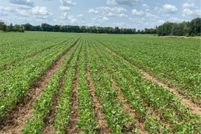 Property for sale in Mille Lacs County, Minnesota