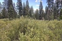 Property for sale in Siskiyou County, California