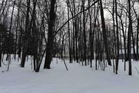 Property for sale in Delta County, Michigan