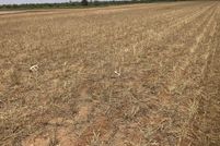 Property for sale in Lynn County, Texas