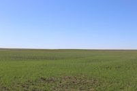 Undeveloped Land for sale in Sheridan County, Kansas