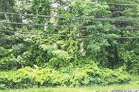 Farm Property for sale in Suffolk County, New York