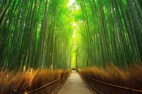 Property for sale in Carbon County, Montana