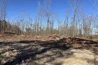 Undeveloped Land for sale in Saline County, Arkansas