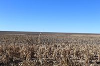 Undeveloped Land for sale in Logan County, Kansas