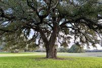 Property for sale in Wilson County, Texas