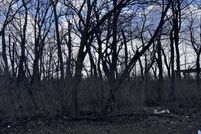 Property for sale in Grundy County, Illinois