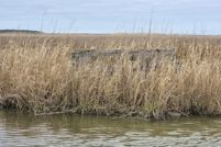 Lakefront Property for sale in Dorchester County, Maryland