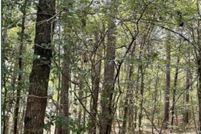 Property for sale in Carroll County, Mississippi