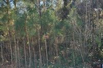 Property for sale in Troup County, Georgia