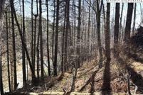 Property for sale in Alleghany County, North Carolina