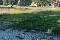 Undeveloped Land for sale in Mason County, Illinois